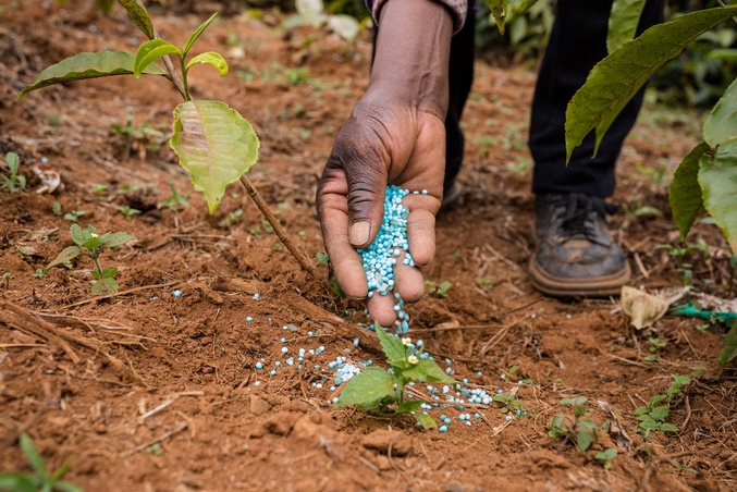 fertilizer