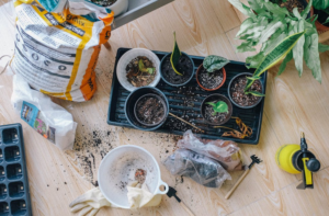 soils